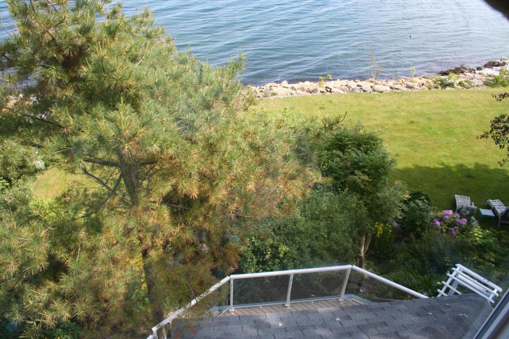 A Boat To Sea Bed & Breakfast North Sydney Exteriör bild